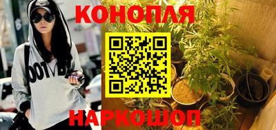 тгк Аргун