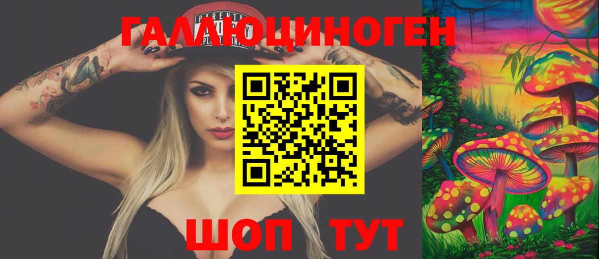 Псилоцибиновые грибы GOLDEN TEACHER Владимир